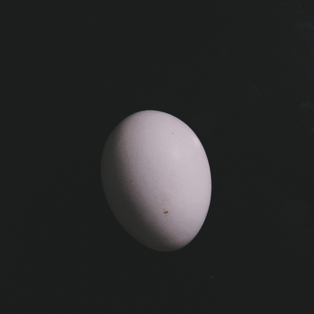 Processed with VSCO with f1 preset